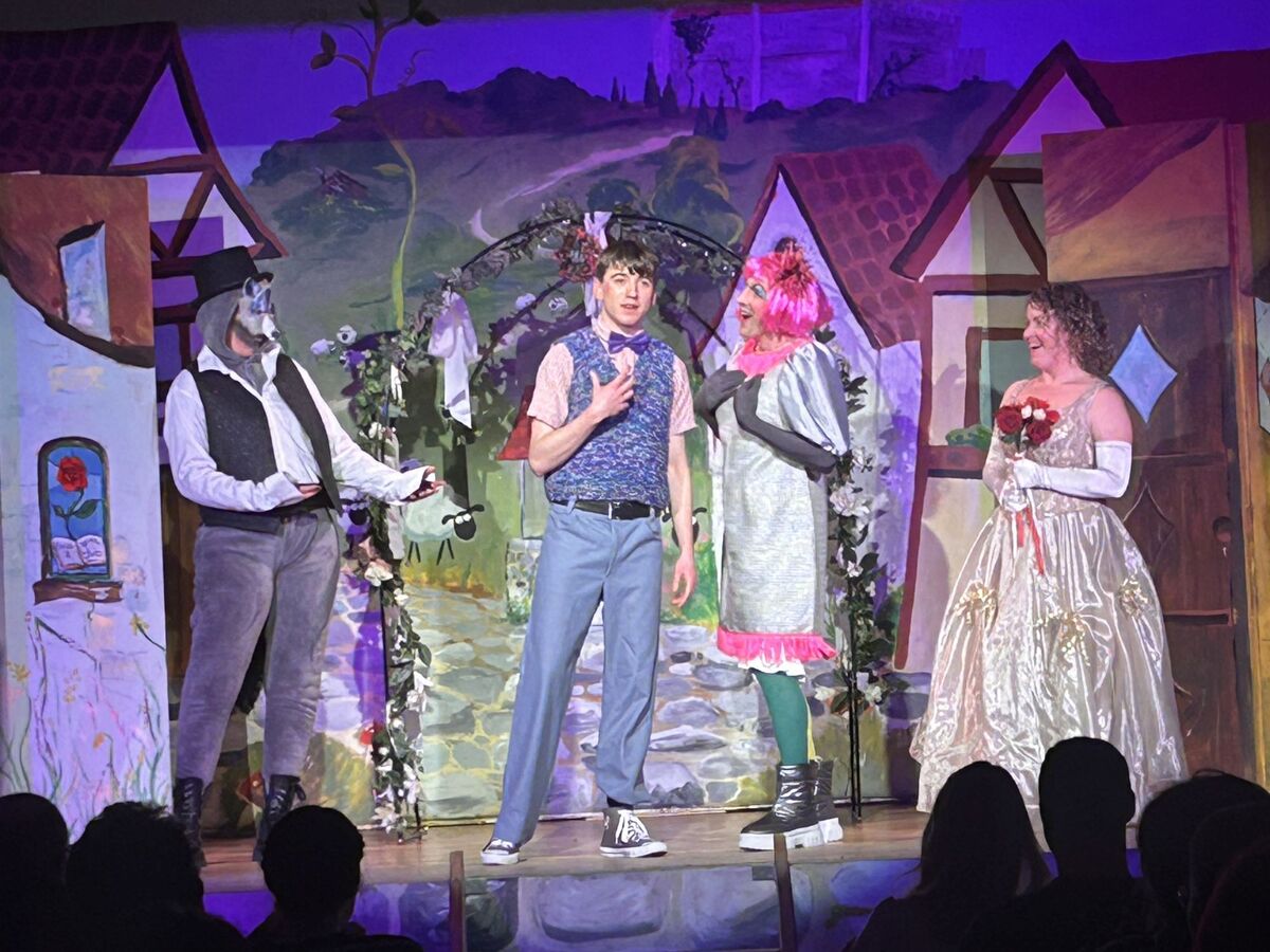 webno t11 tadds panto 1