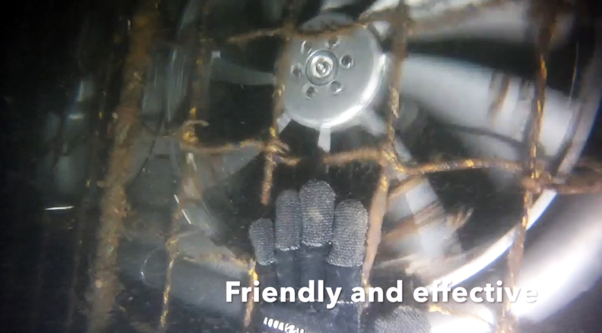 Lindgren Pitman 20260210 Hand on net screenshot 44