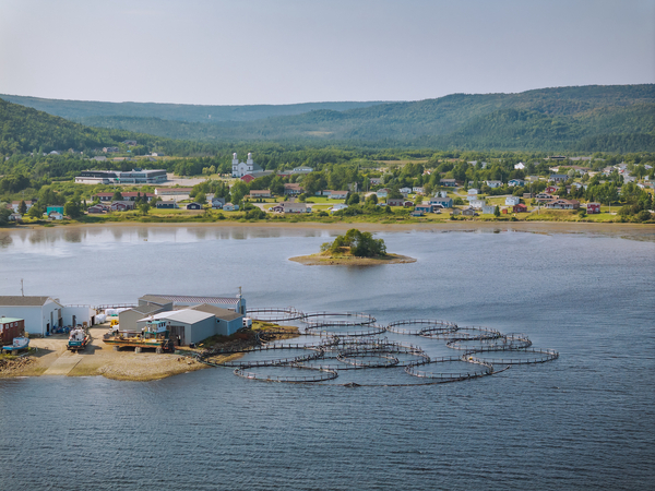 Canadian east coast bids to become leading aquaculture innovation hub