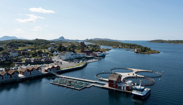 Mowi expands into Northern Norway with major acquisition deal