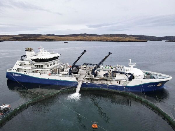 Scotland&rsquo;s largest wellboat is now in operation: Inter Alba