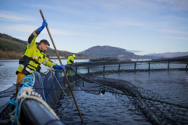 A sea of opportunity for the next generation - Salmon Scotland