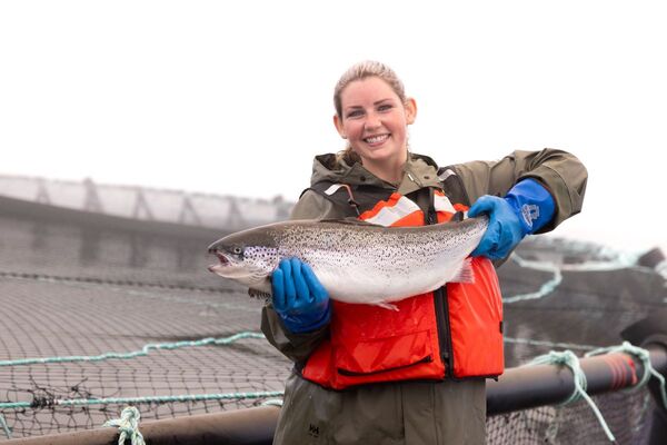 Support for fish farming is growing in Atlantic Canada, poll finds