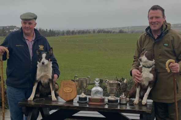 Winter dog trial winners compete at inter district trials