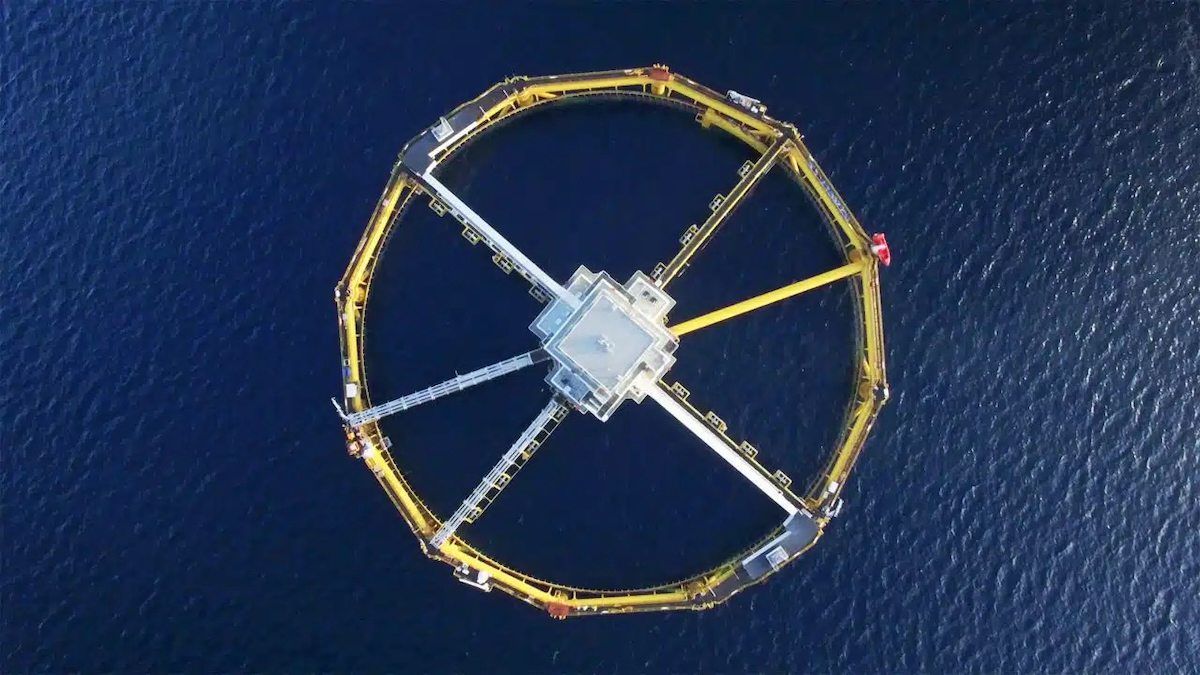 SalMar Ocean Farm 1 20260316