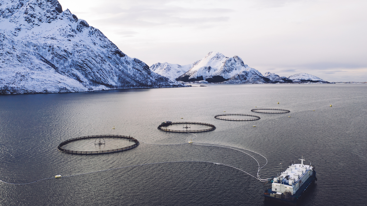 fish farm Norway AdobeStock 383337044