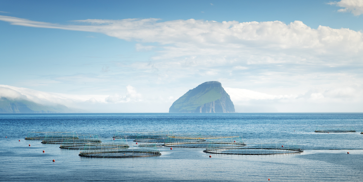 fish farm near Sandavagur village on Vagar island AdobeStock 306005299 web