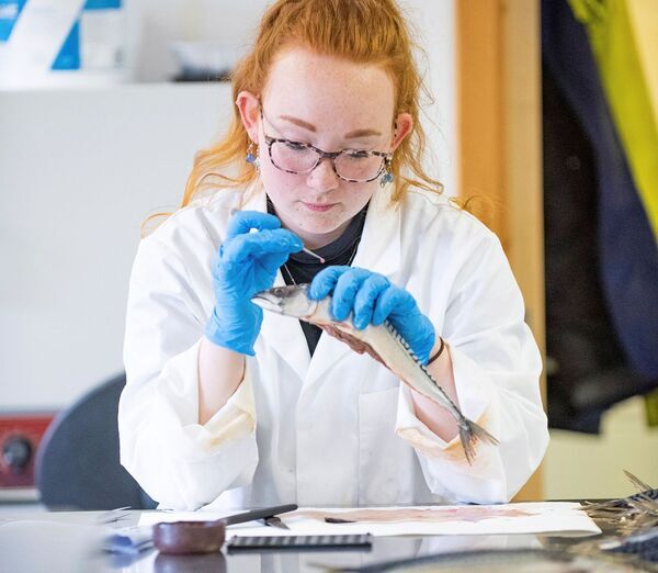 Shetland marine sustainability course links science to island life