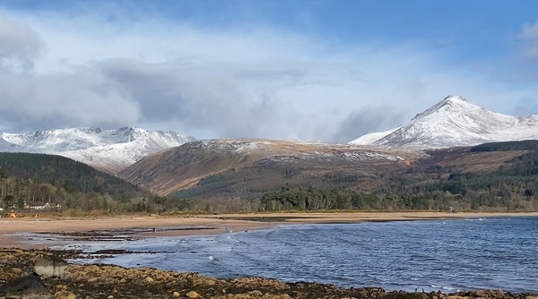 Arran Banner Leader: Resilient Arran