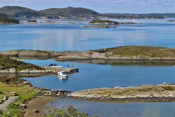 Algae threat remains high, researchers warn