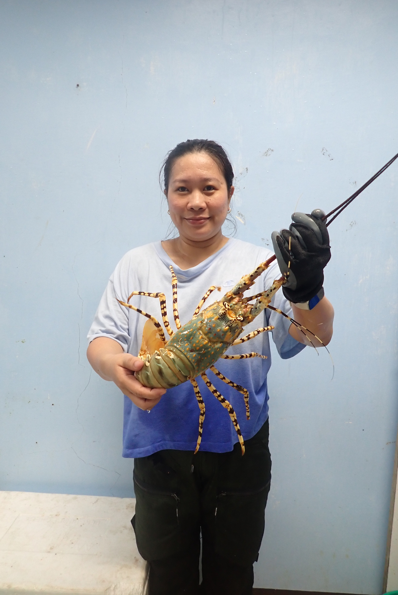Roselyn Baylon-SEAFDEC AQD Photo8 web Roselyn Baylon-SEAFDEC AQD Photo8 web