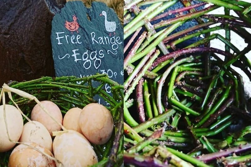 The Croftless Crofter: April 2026