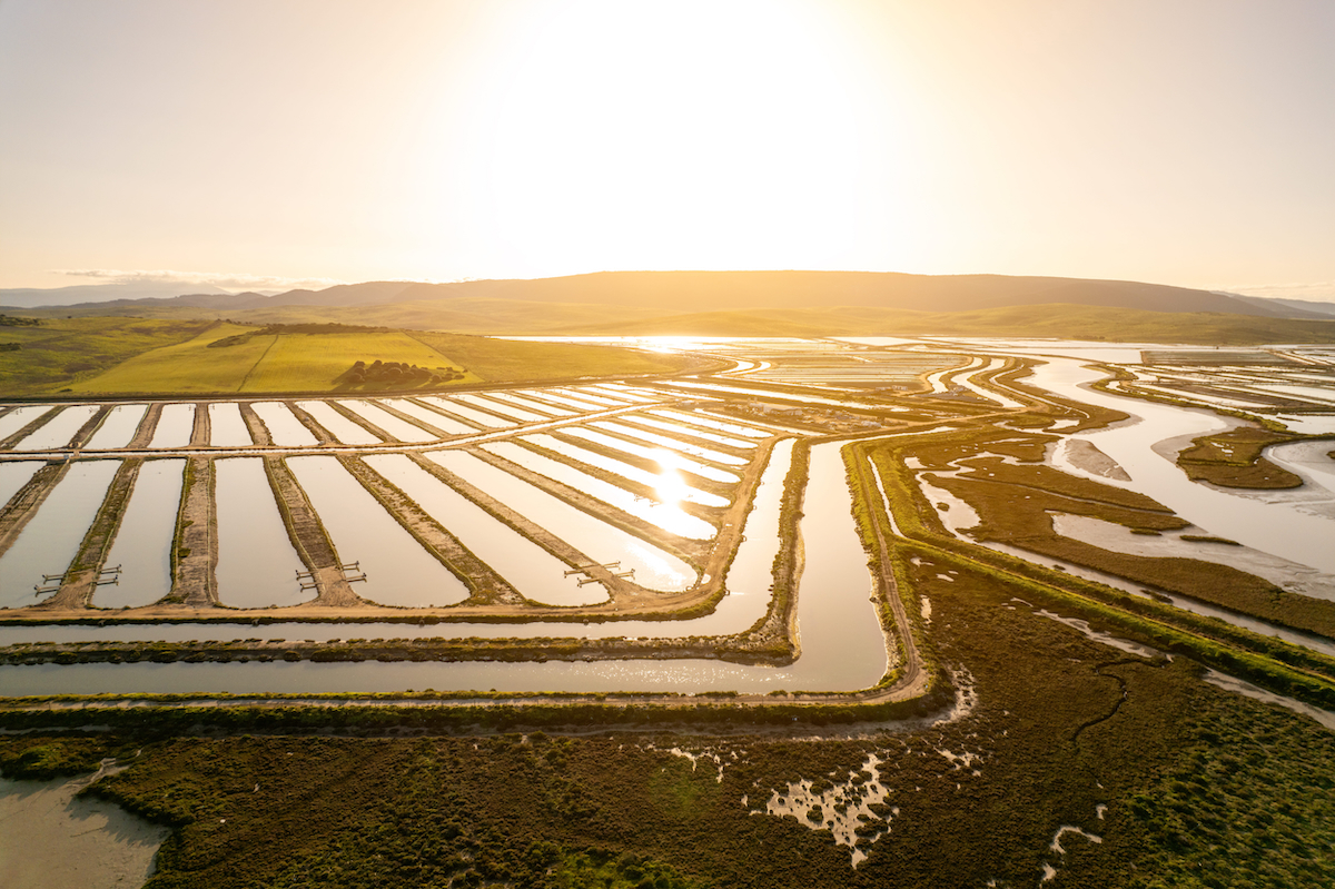 Lubimar farm DJI 0995 20260331