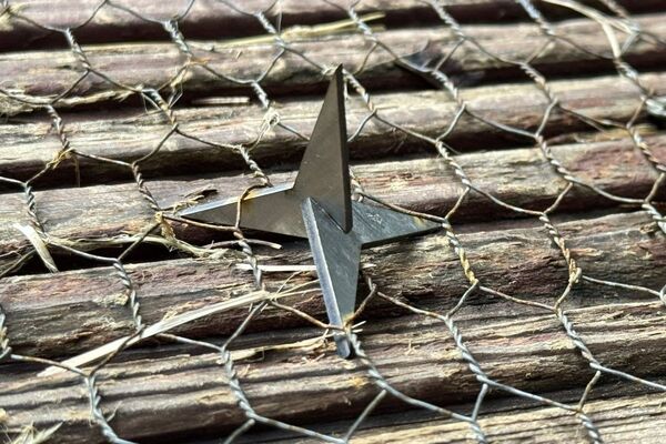 Police appeal after wire strung across path in woods where spikes were laid