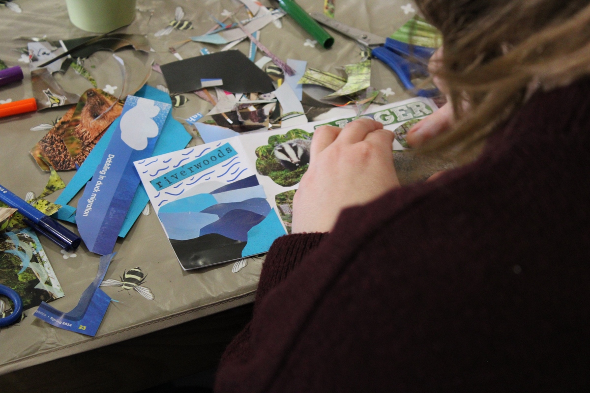 New art project aims to highlight Scotland's river woodlands