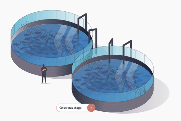 Belgian salmon farm project rejected