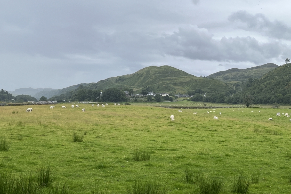 Slow lane for fast broadband roll-out in Kilmartin and Ford