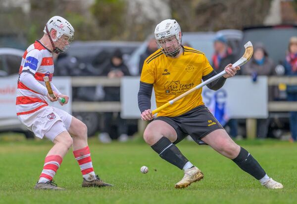 North Shinty round-up: Saturday 4 April 2026