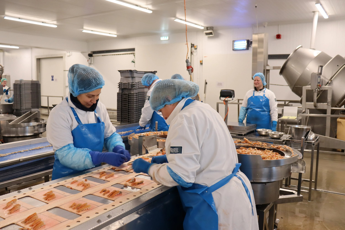 Processing IMG 1814 photo SEAFISH