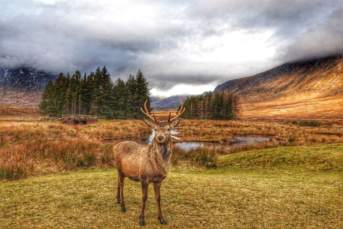 Aileen&rsquo;s Amazing Argyll &ndash; January-March 2026