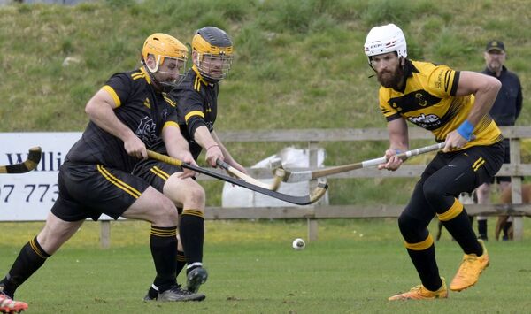 North Shinty Round-Up - April 13 2026