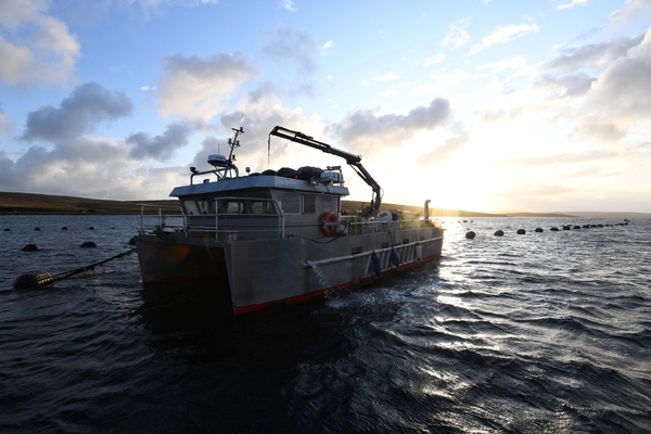 Asda launches new Scottish mussel product range