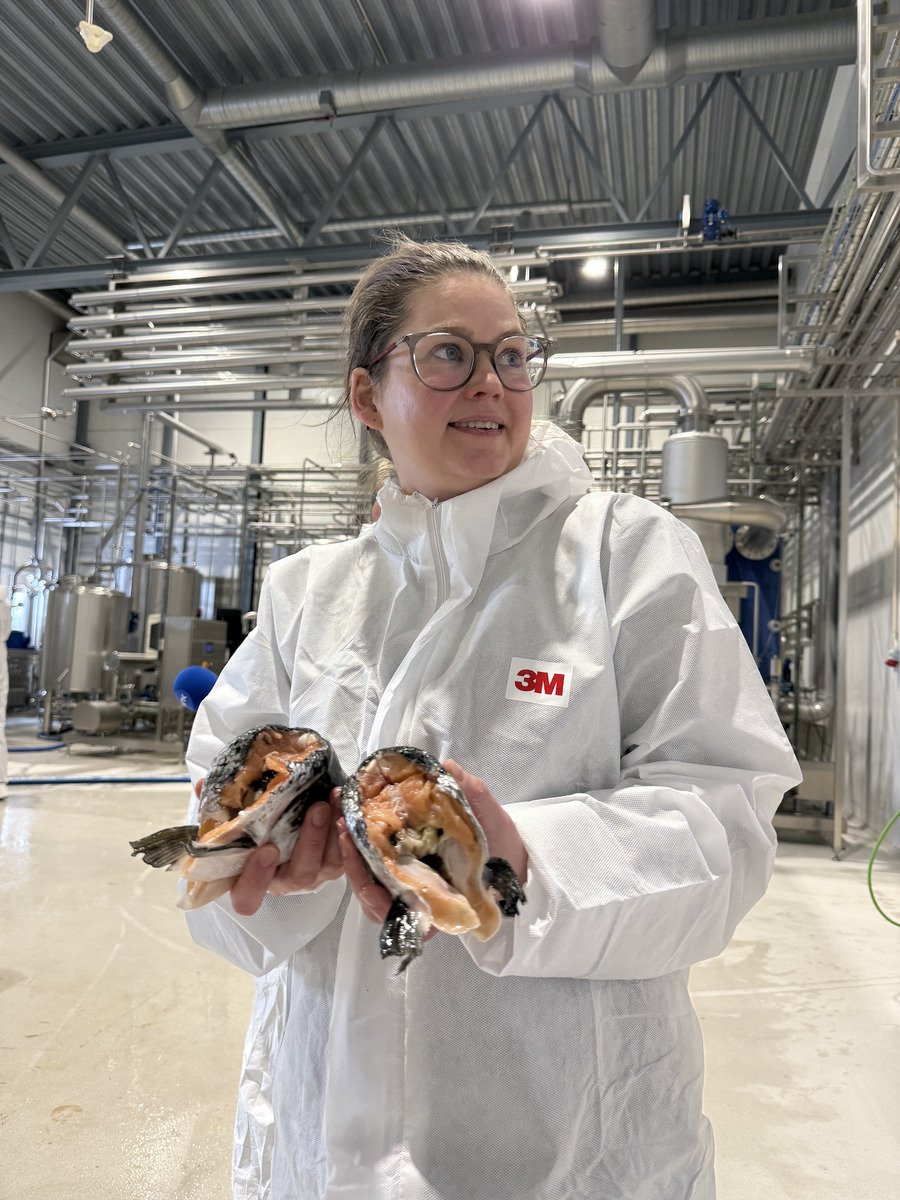 Tone Aspevik with salmon heads_Nofima_20260414