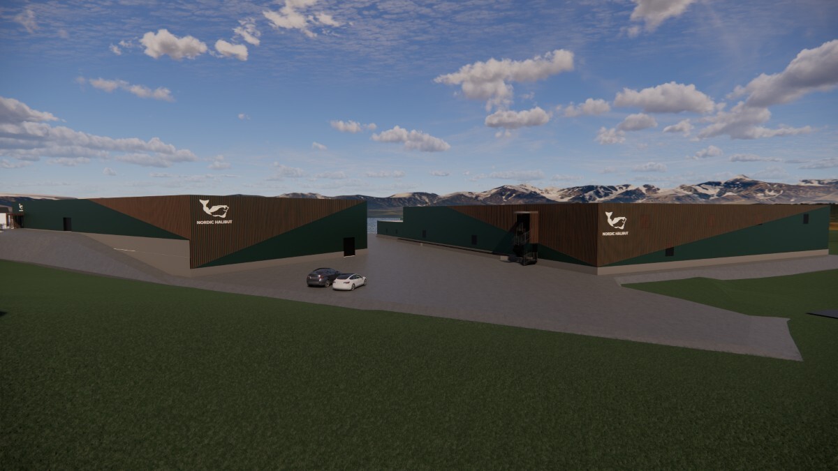 Torjulvagen project Nordic Halibut web