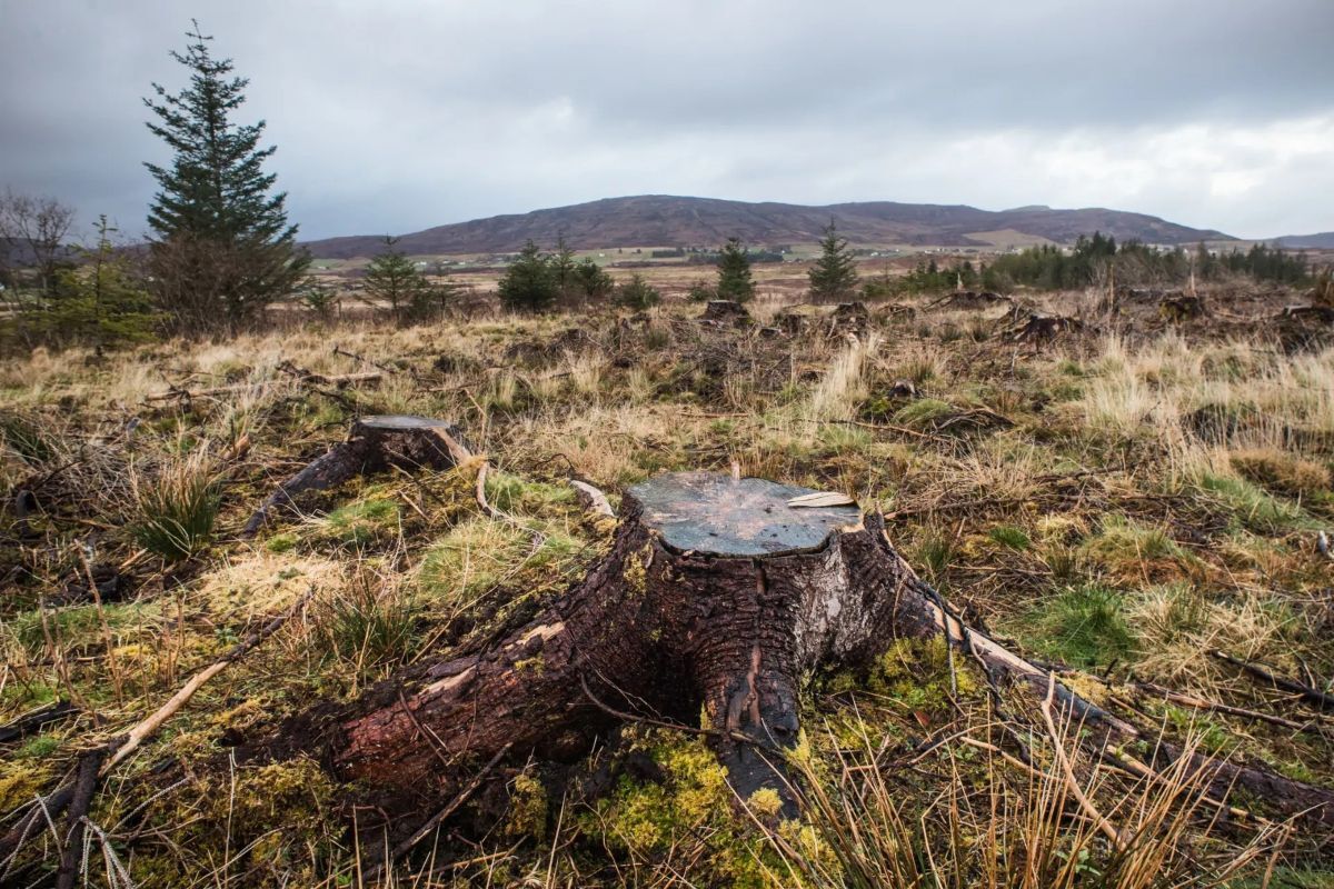 Loganair opens applications for 2026 GreenSkies Community Fund