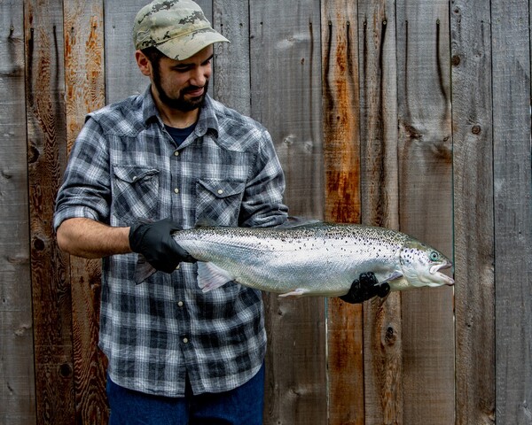 Land-based farming: BC&rsquo;s blue opportunity?