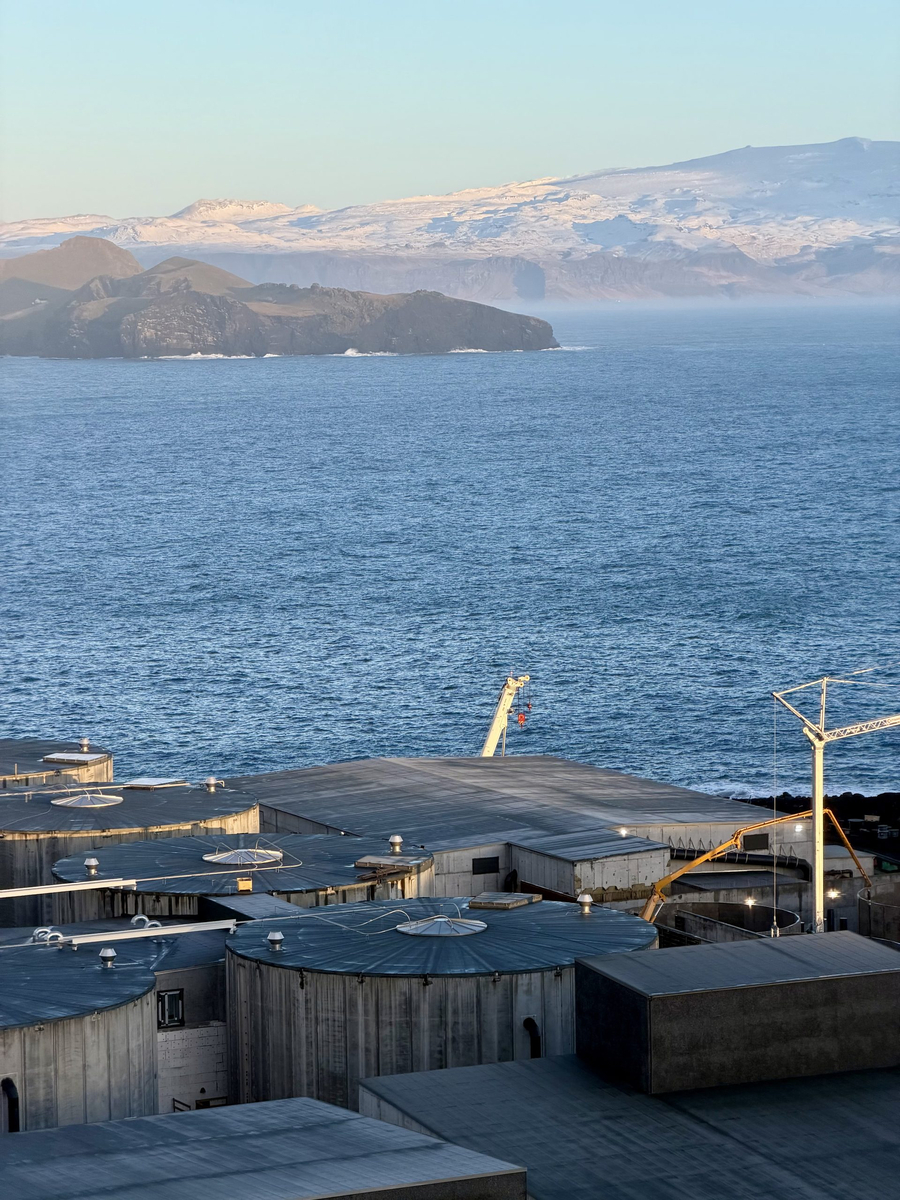 Laxey smolt site Iceland 20260422