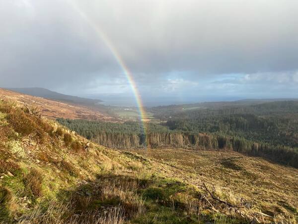 One week left to secure D&ugrave;thchas Arainn shares