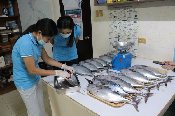 A breakthrough for tuna
