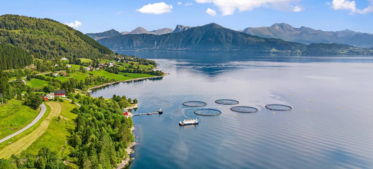 Masoval farm Norway