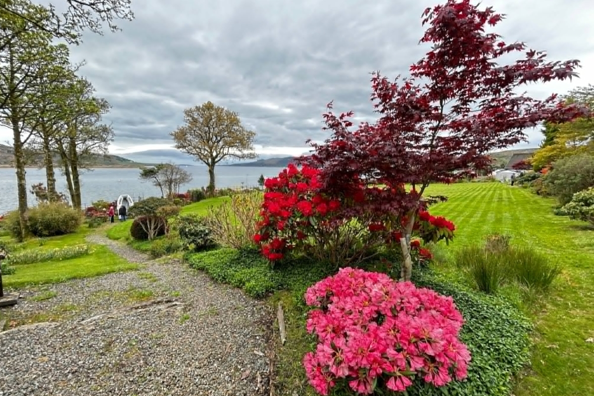 A number of Tighnabruaich gardens were open for the day to help towards the RNLI fundraiser. Photograph: J Hunter