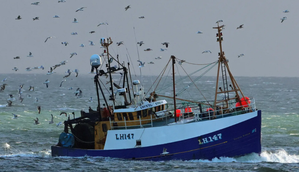 Skipper fell asleep before Loch Fyne shipwreck, report finds