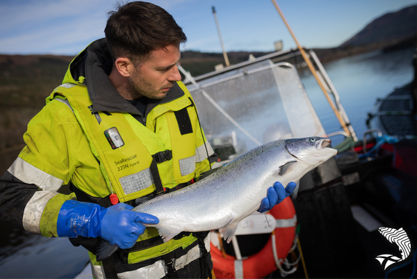 A tide of opportunity: How Scotland&rsquo;s salmon sector is powering coastal communities