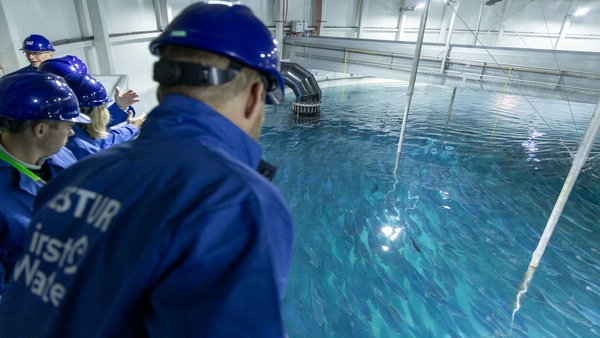 Iceland fish farmer completes first stage funding round for new project