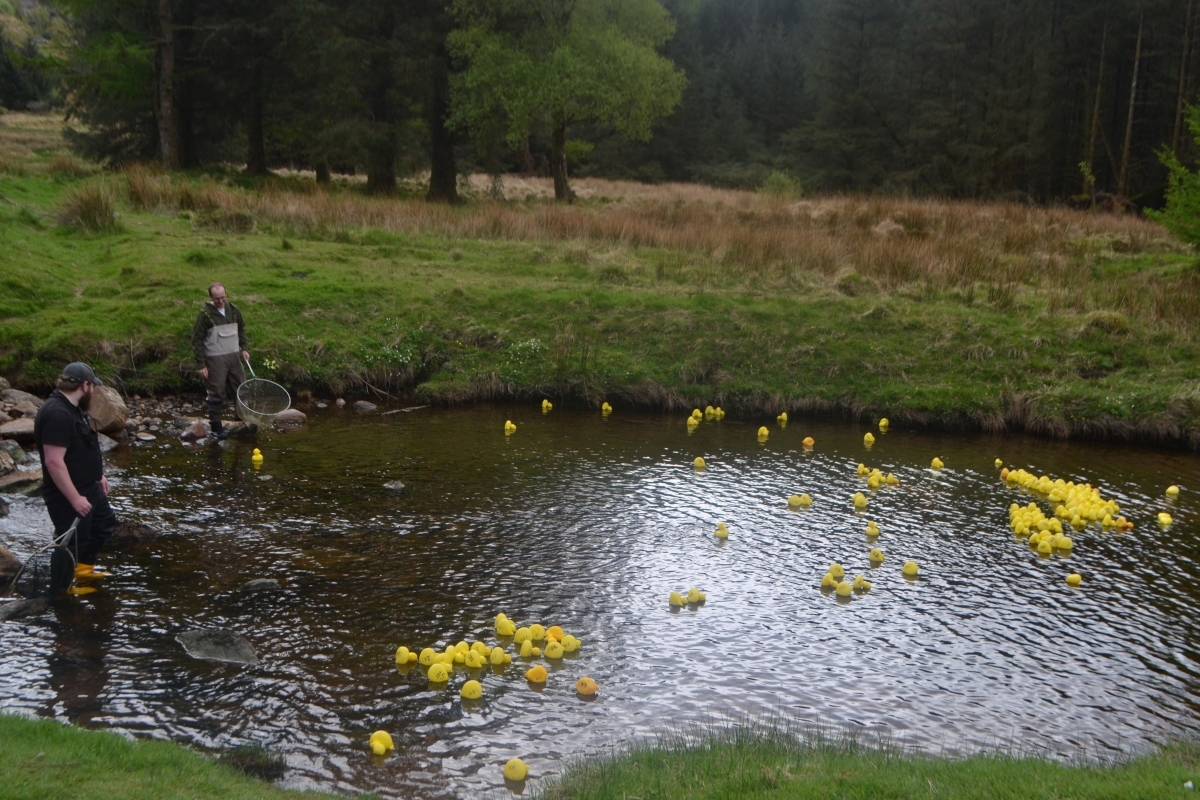 Gathering up the ducks on finish line. Photograph: Cairndow Community Childcare
