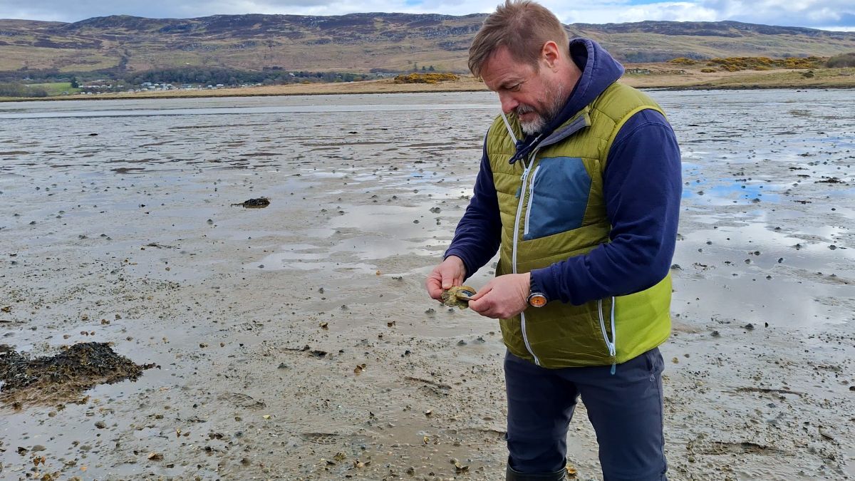 NO T20 Native oysters say No to hand gathering 05 Oyster signs Dr David Smyth Marine Rewilding Lead at Highlands Rewilding web