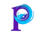 Premier Laundry Service (1)