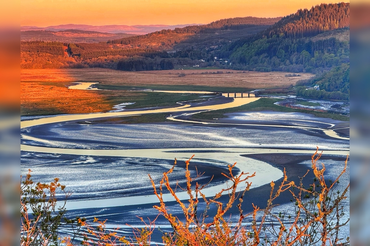  River Add from Crinan Woods, April 2026. Photograph: Aileen Gillies