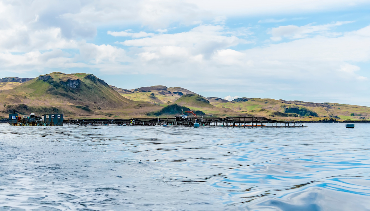 Salmon farm Firth of Lorn AdobeStock 441616478 web