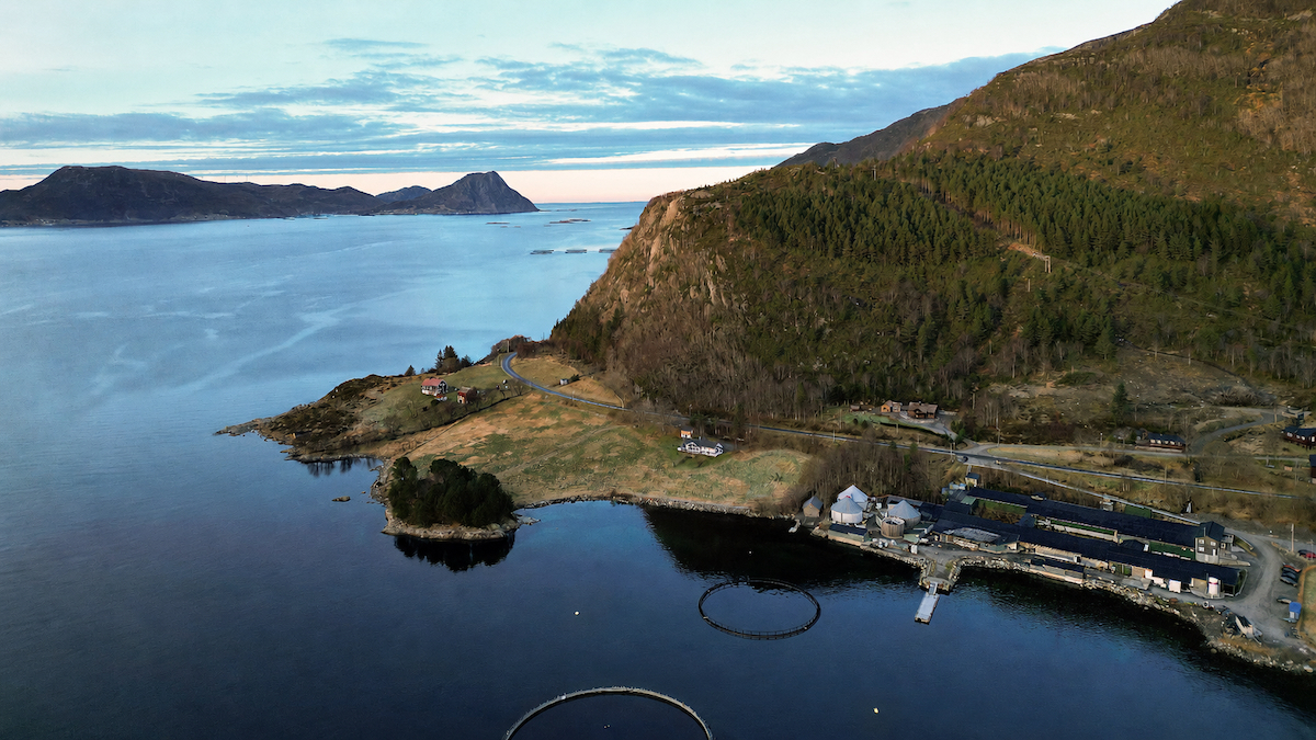 Sighaug hatchery (photo Asteco)