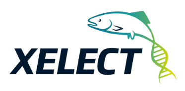 Xelect Logo Xelect Logo