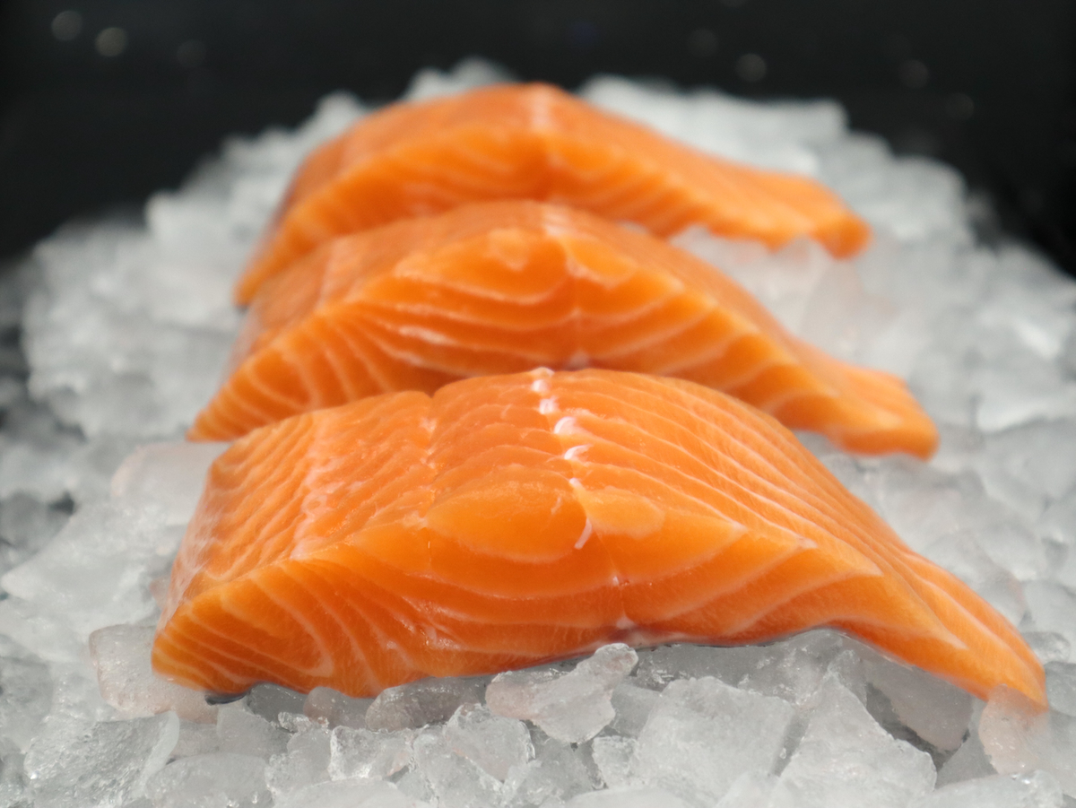 salmon on ice 2 Salmon Scotland web