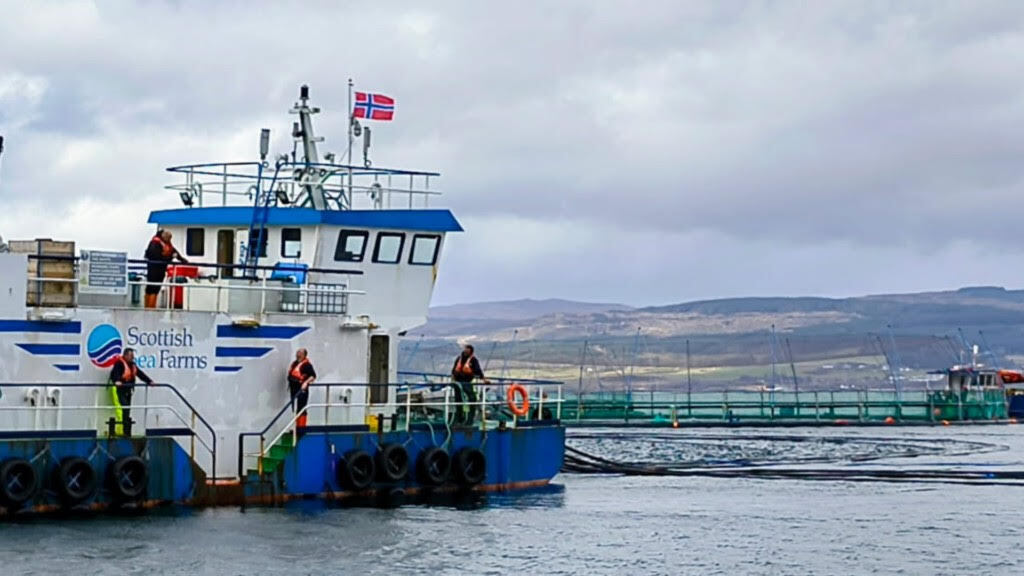 A warm welcome to Oceanbox from Scottish Sea Farms during our visit to Scallastle Marine Farm in April Vince 21 My 26