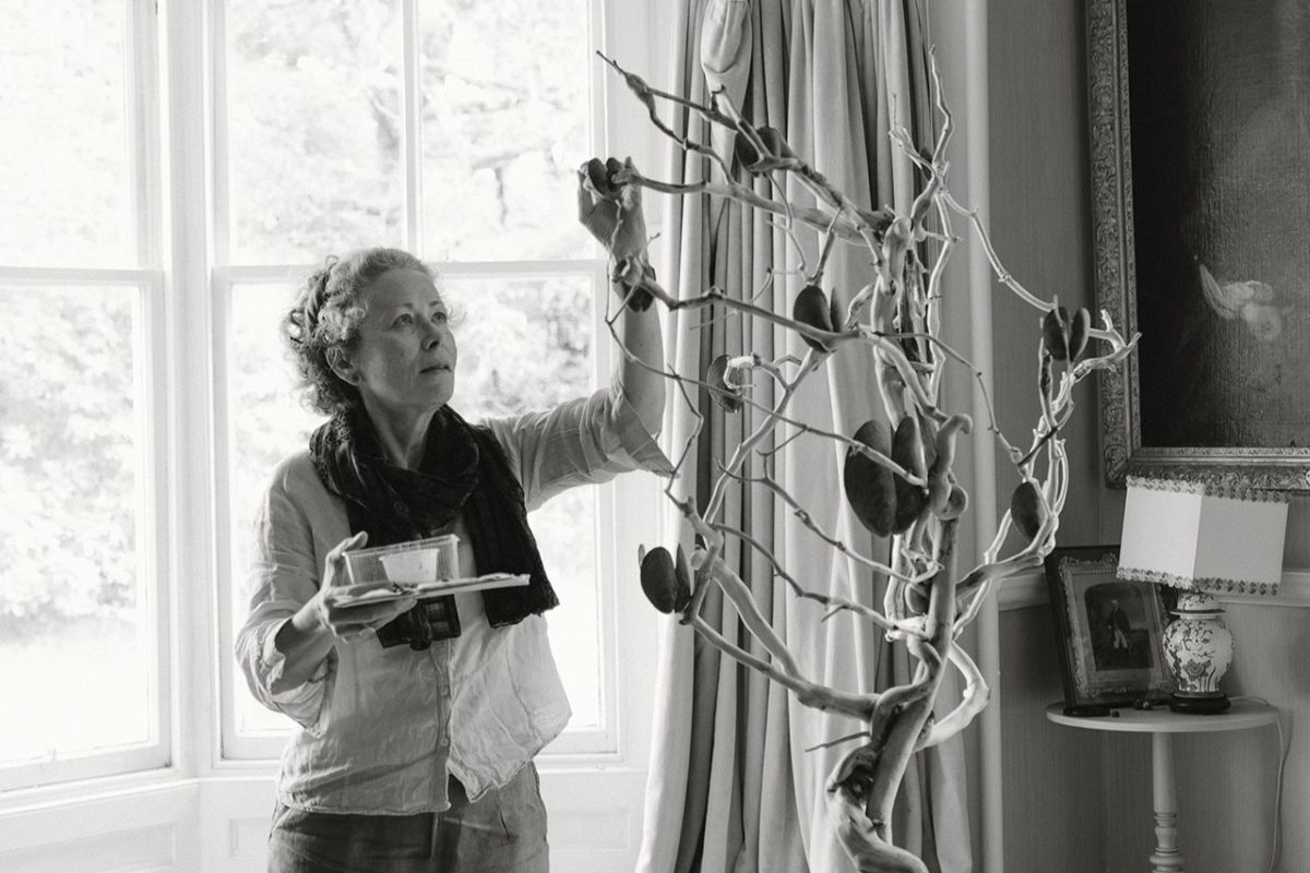 Tideline inspired exhibition brings nature to life at Resipole Studios
