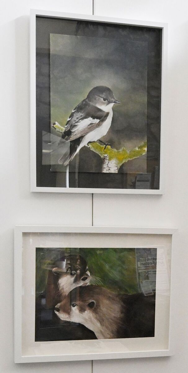 WEB NO F21 UHI North West and Hebrides Arts Festival 26 Wildlife paintings by Fi Nilsen IF