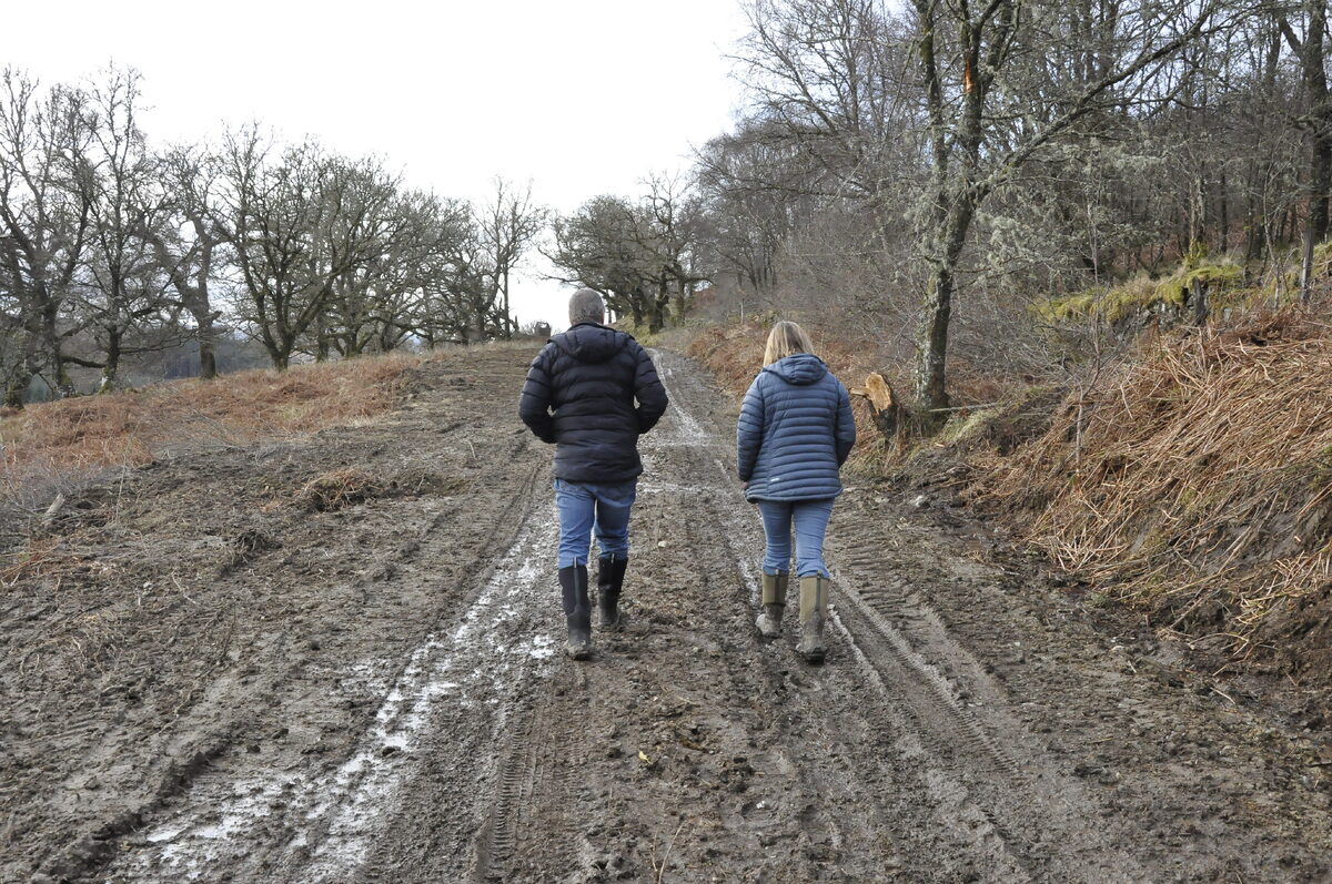 ow t08 ardteatle muddy track 